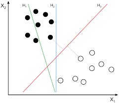 Image of support vector machine